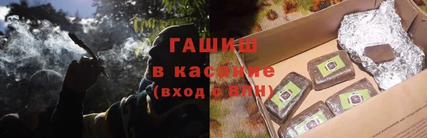 гидра Вяземский