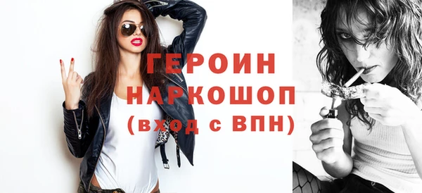 гидра Вяземский