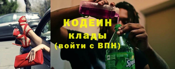 гидра Вяземский