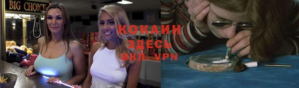 гидра Вяземский