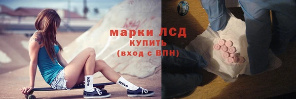 гидра Вяземский