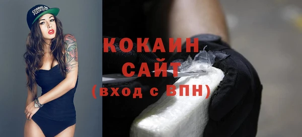гидра Вяземский