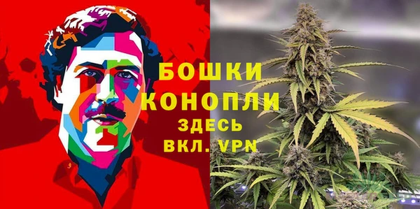 гидра Вяземский