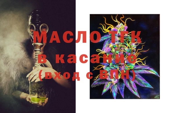 гидра Вяземский