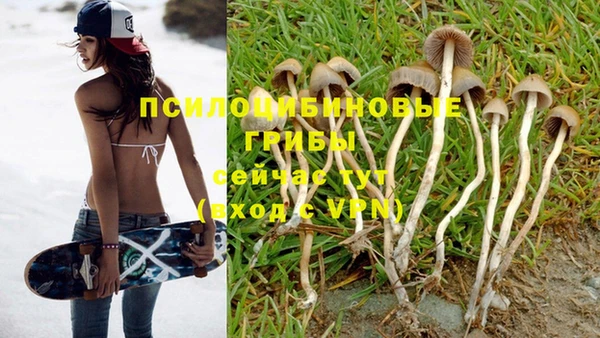 гидра Вяземский