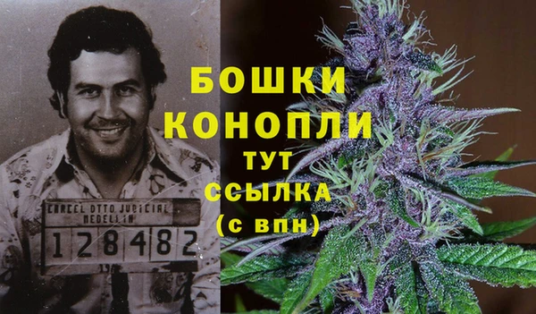 прущие крисы Вязьма