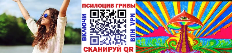 Галлюциногенные грибы Psilocybe  Каменск-Шахтинский 
